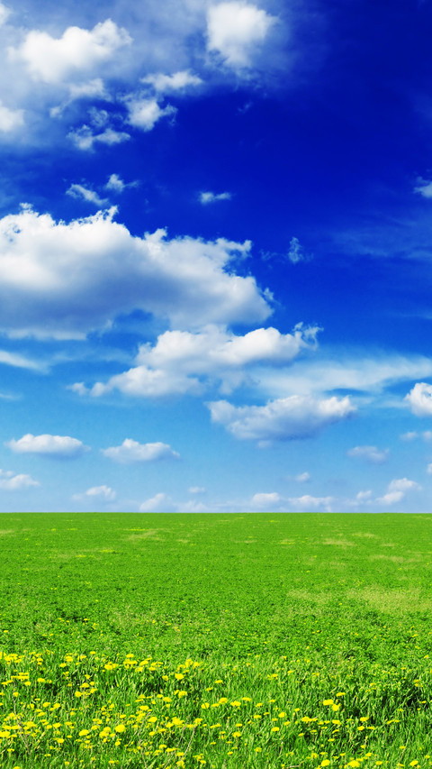 绿草蓝天-拍信图库 screenshot