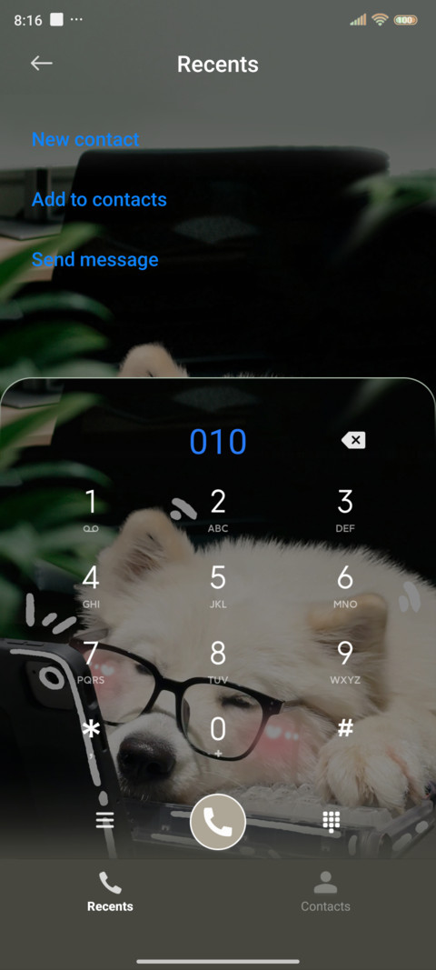 Ins is Money dog screenshot