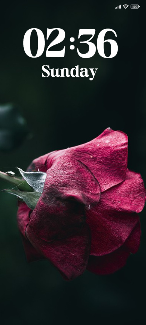 Rose screenshot