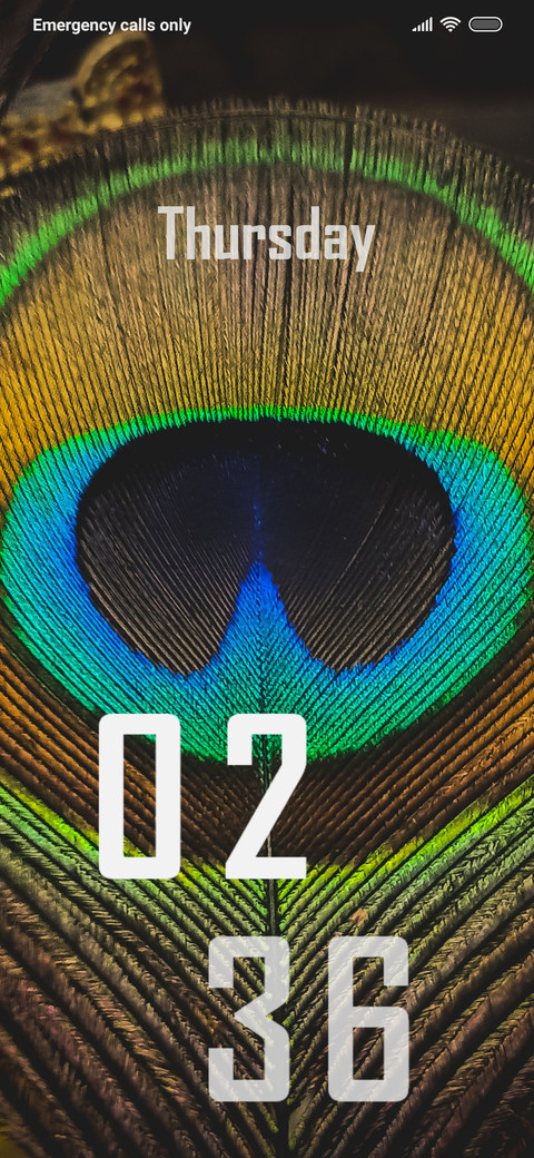 Colour Fans screenshot