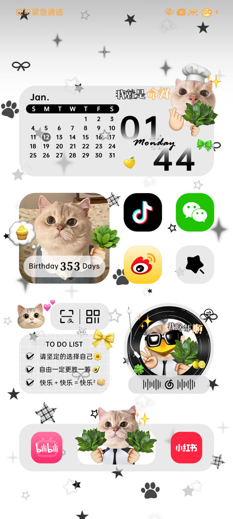 好运 高雅可爱小猫 screenshot