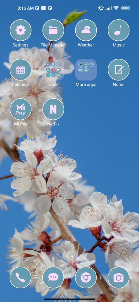 cherry Blossoms screenshot