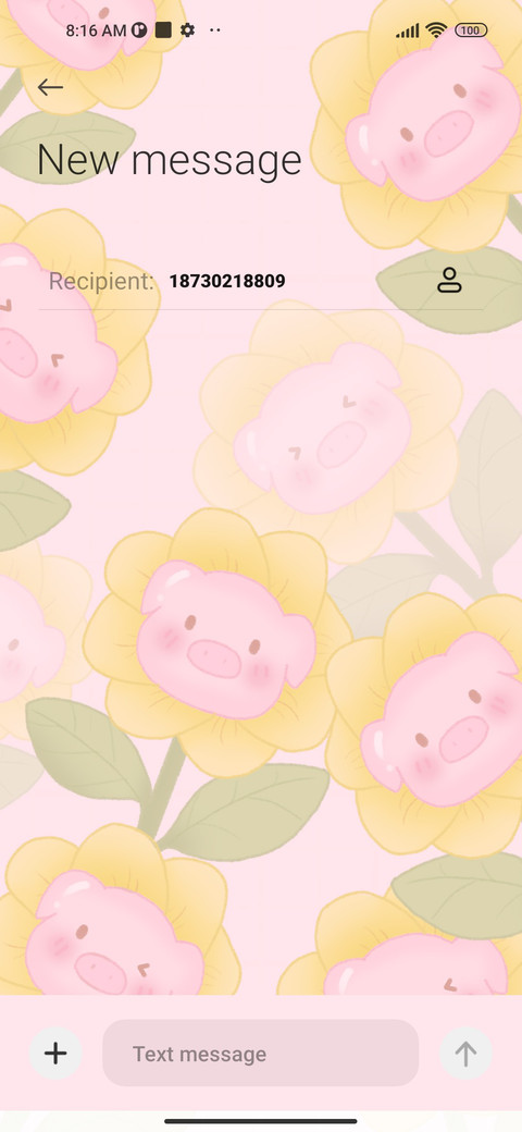 Healing sun pig screenshot