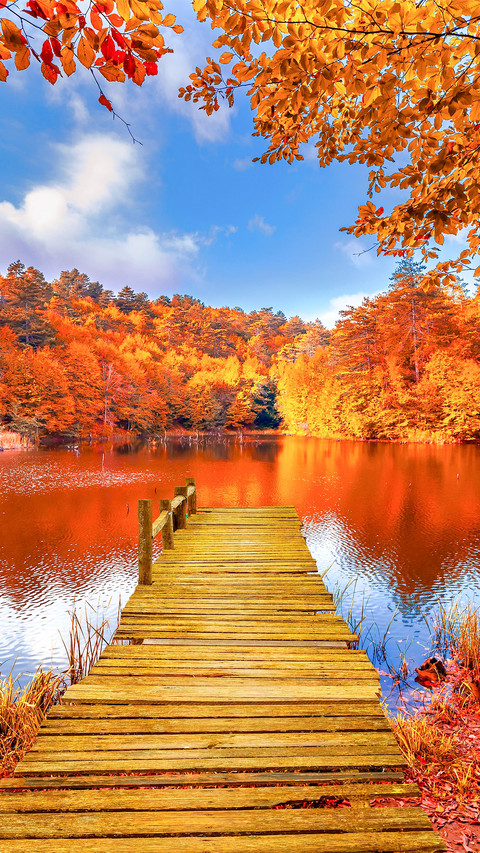 Autumn Landscape in Amazing Nature screenshot