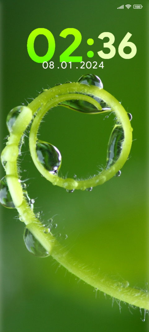leaves swirl screenshot
