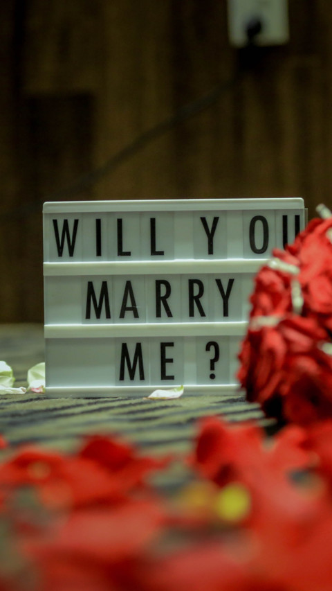 Propose Day (3) screenshot