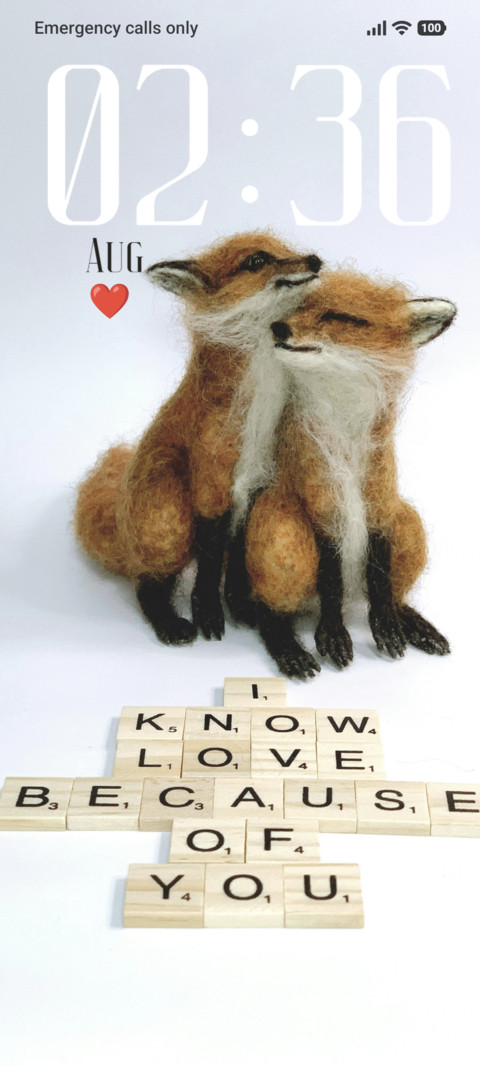 Fox Couple screenshot
