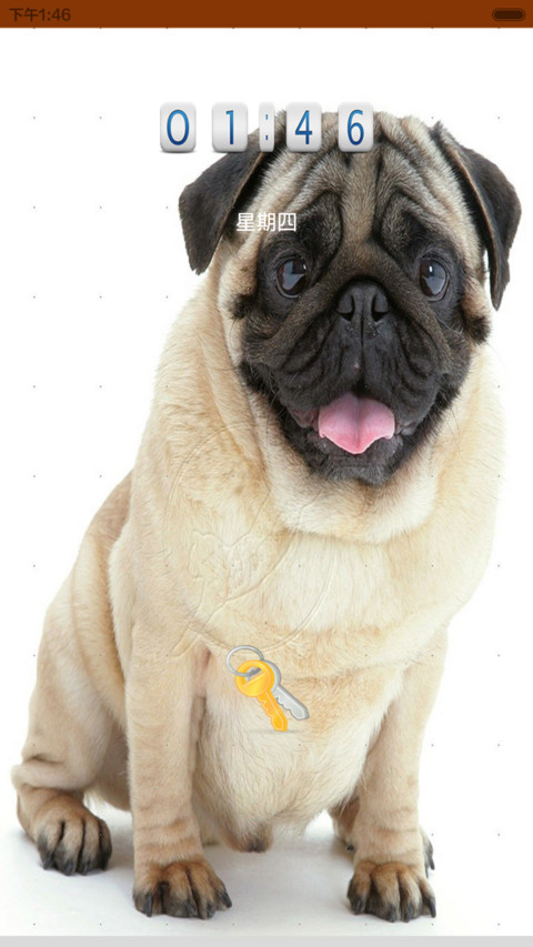 cute_ugly_pug(UPDATE) screenshot