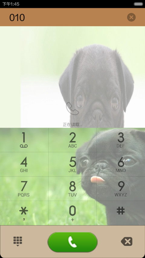 cute_ugly_pug(UPDATE) screenshot