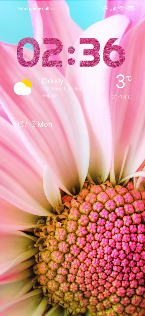 daisy pink screenshot