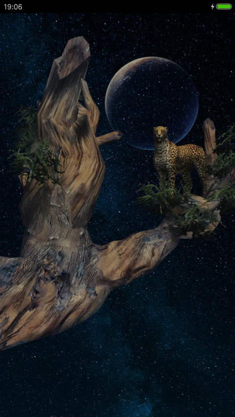 星空猎豹 screenshot