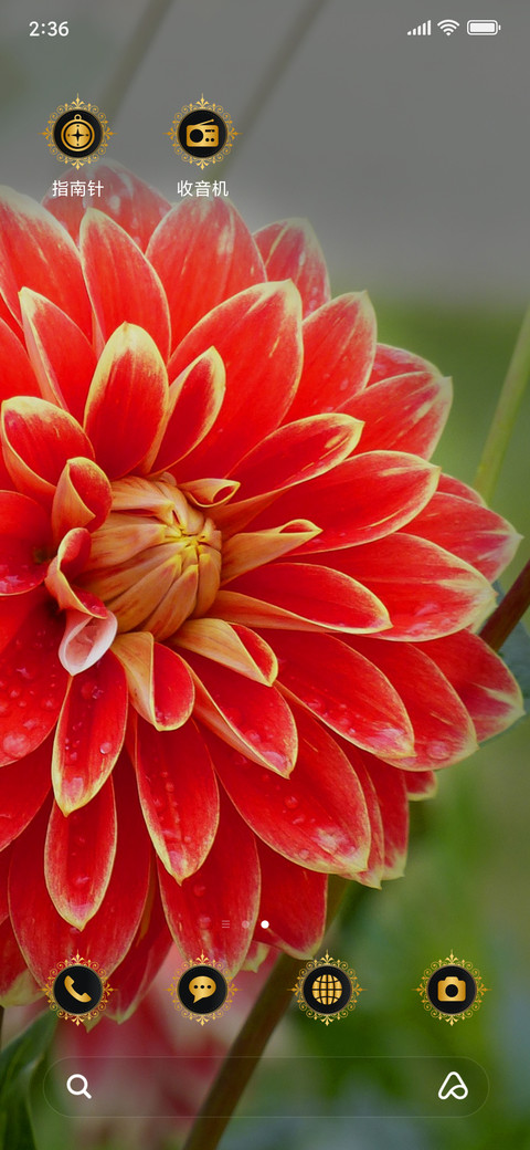 Dahlia_3MDS screenshot