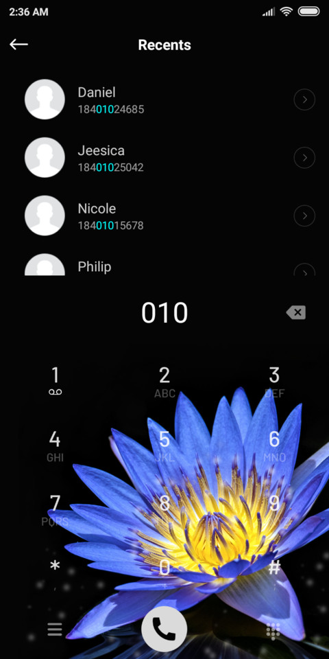 Flower_DWM19 screenshot