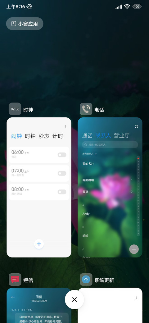 动态 荷花开放 screenshot