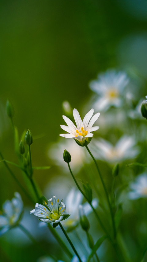 Warm spring sun screenshot