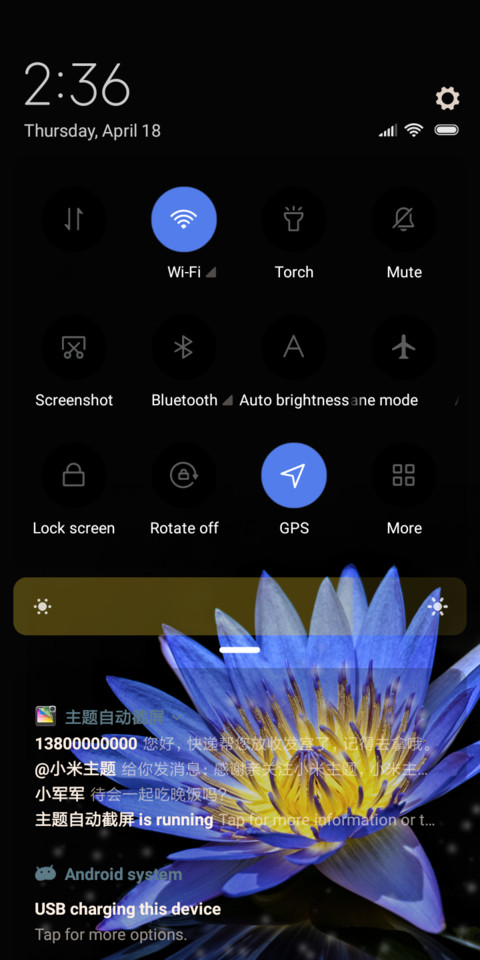 Flower_DWM19 screenshot