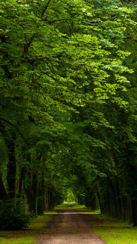 Green eye protection wallpaper screenshot