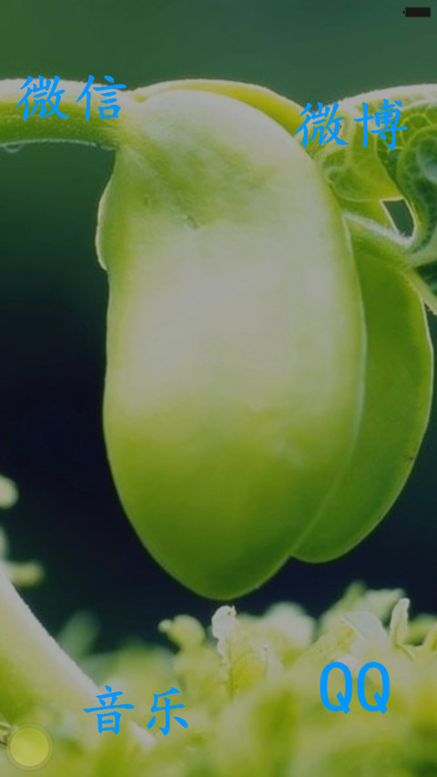 春芽的倔强（好评返现） screenshot