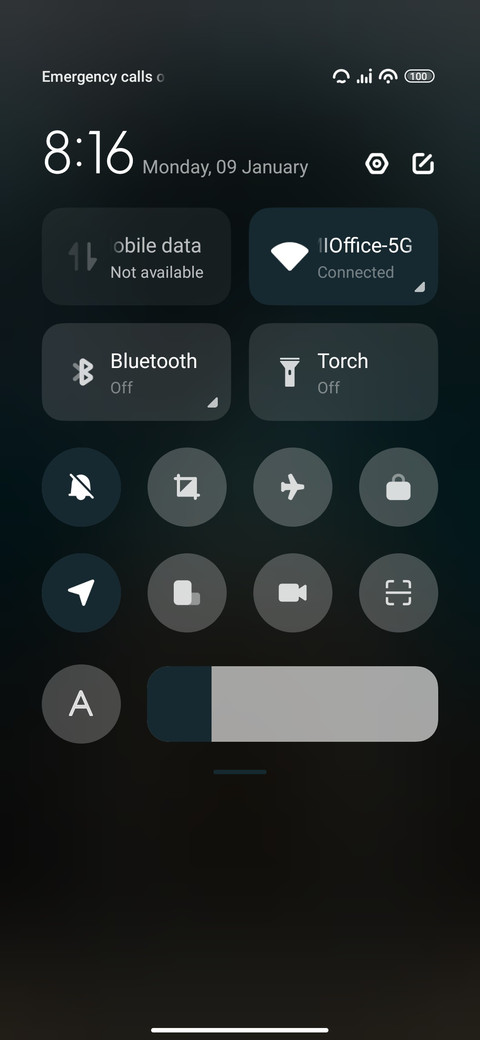 Blue Mosque screenshot