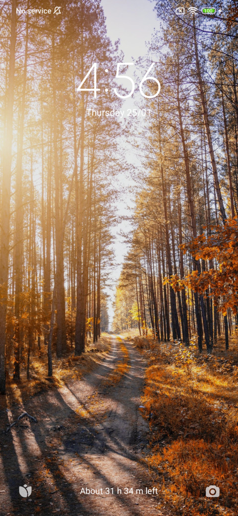 Sunset tree screenshot