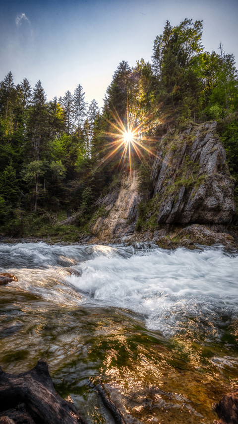 The beautiful scenery of the river in the forest screenshot