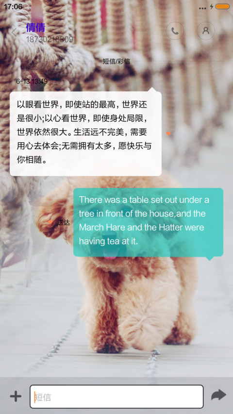 宠爱你--泰迪 screenshot