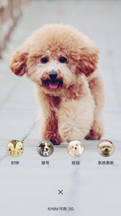 宠爱你--泰迪 screenshot