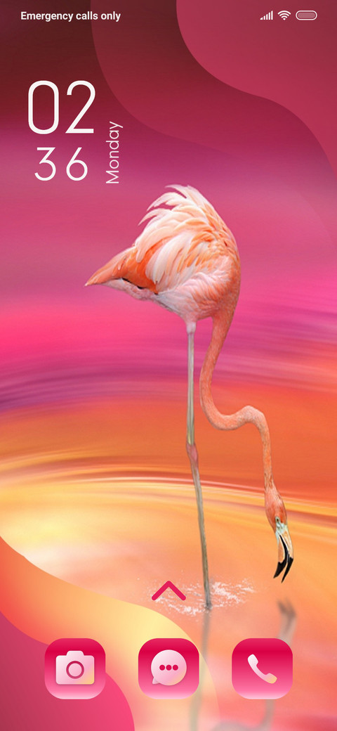 Flamingo_3MDP screenshot