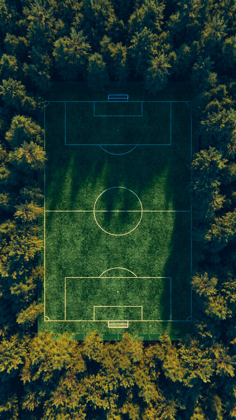 Football field in the middle of the forest top view screenshot