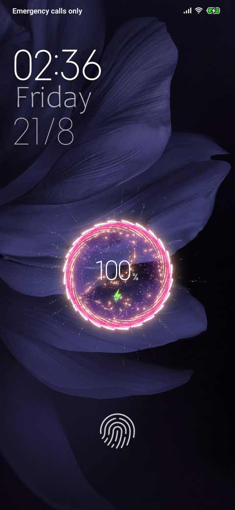 Ronix screenshot