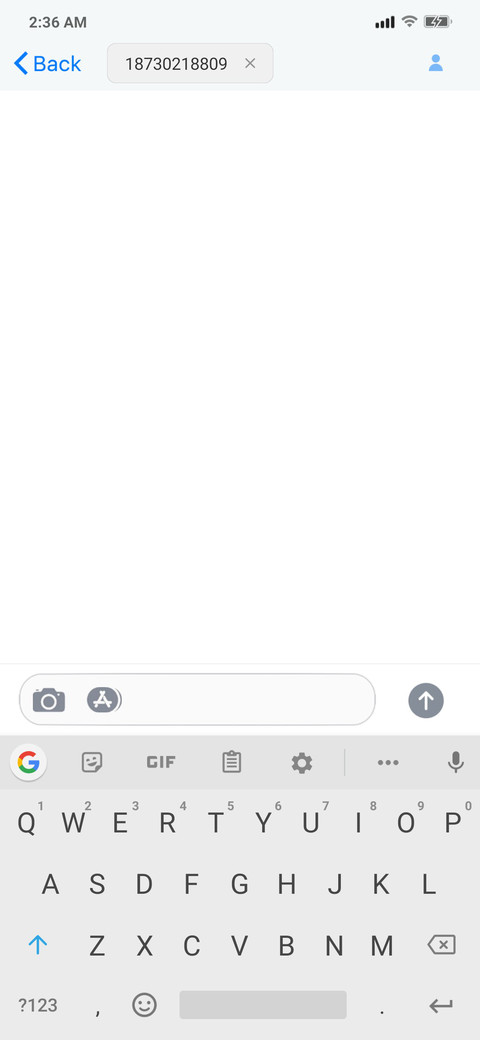 iOs 14.1 v11 screenshot