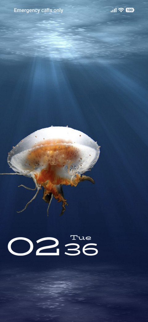 Jellyfish screenshot