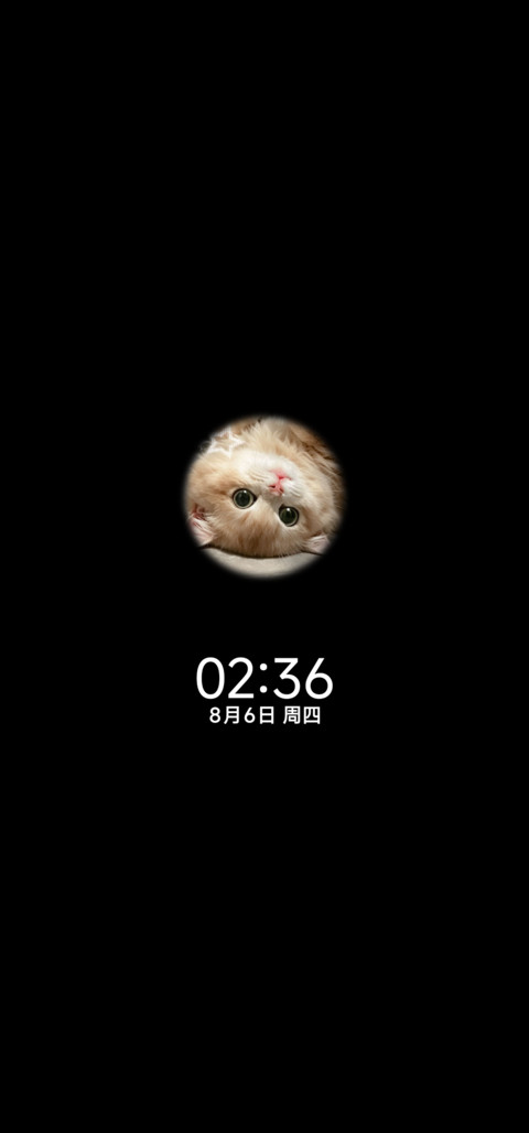 重感涂鸦 可爱小咪 screenshot