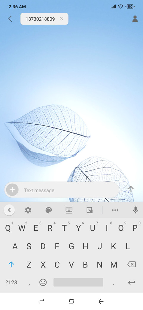 Leaf White_V10 screenshot