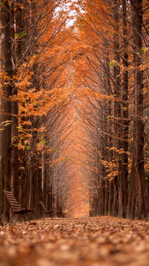 Path screenshot