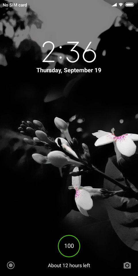 Low light _DWM2 screenshot