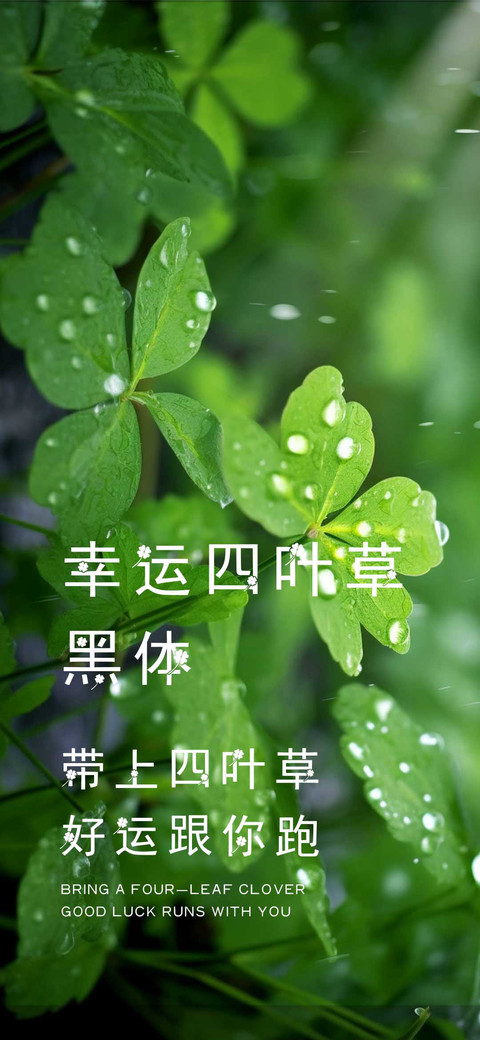 幸运四叶草黑体 screenshot