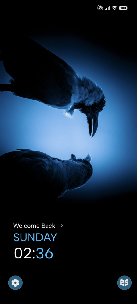 Crow Duo screenshot