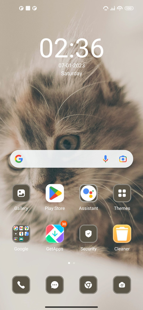 cat screenshot
