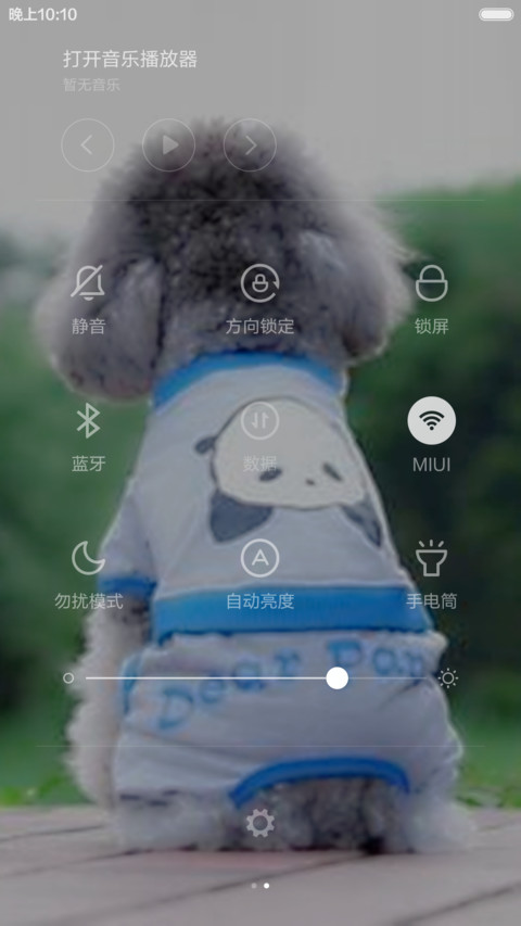 爱 宠物 screenshot