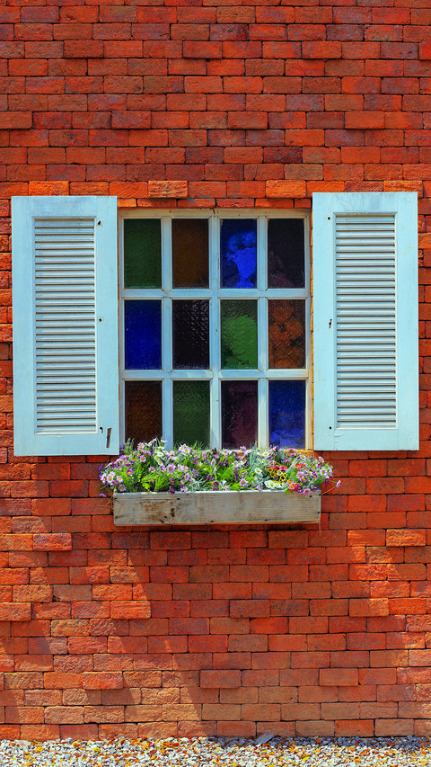 The flowers on the windowsill screenshot