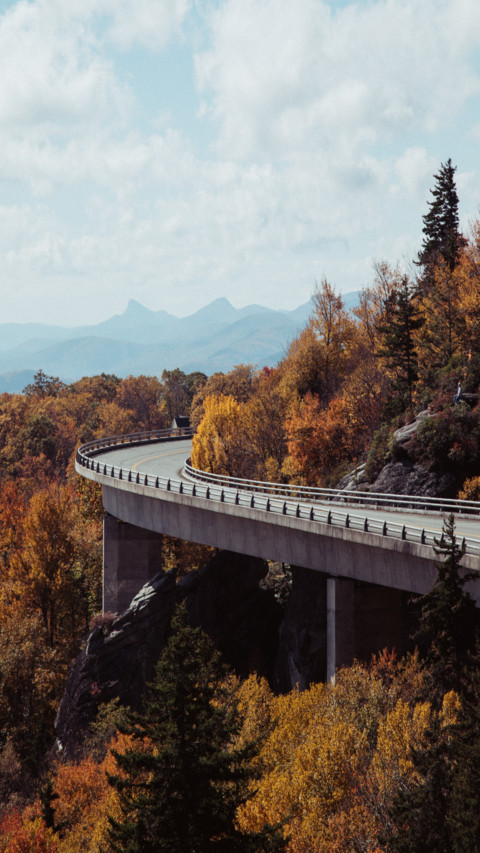 Road Bridge F screenshot