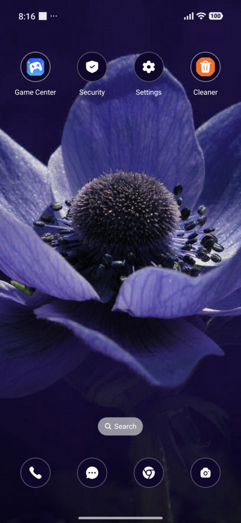 Beauty Flower screenshot