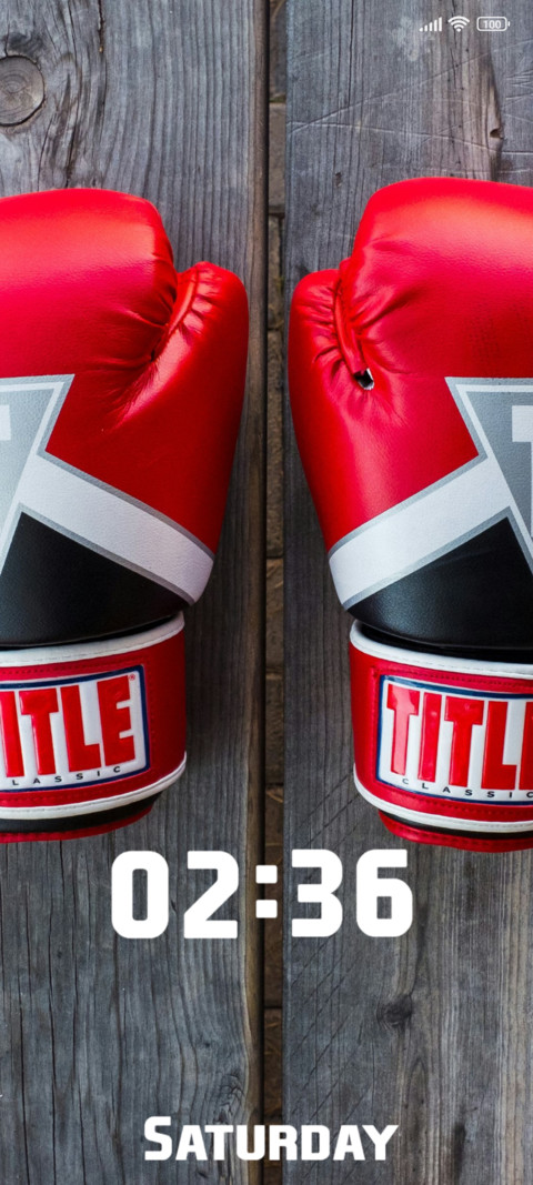 Boxing screenshot