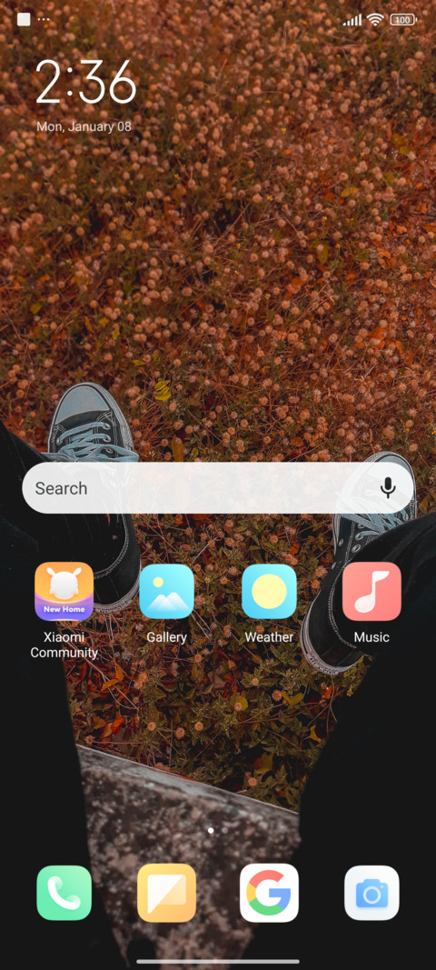 Personal 2.0 screenshot