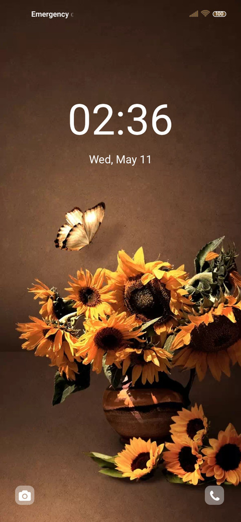 Golden sunflower screenshot