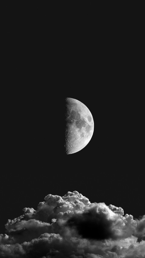 The night falls between black and white screenshot