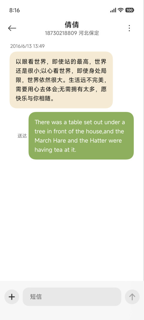 简约秋光叶舞 screenshot