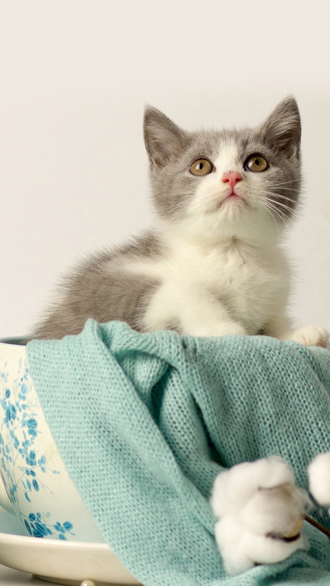 Lovely animals-11 screenshot
