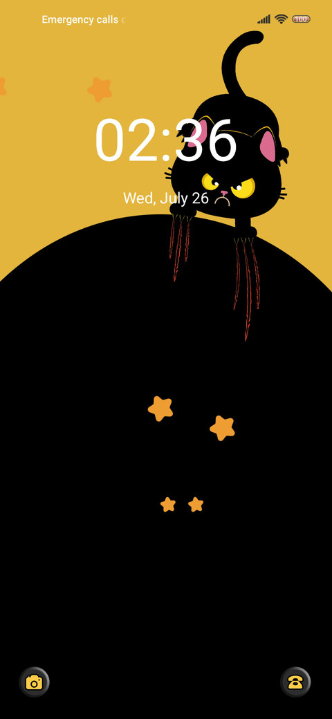 Angry Black Cat screenshot